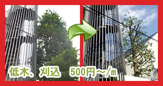 剪定、低木及び刈込の料金と詳細 剪定、低木及び刈込の料金と詳細